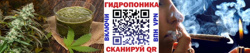 Canna-Cookies конопля  OMG ссылка  Красный Холм  наркотики 