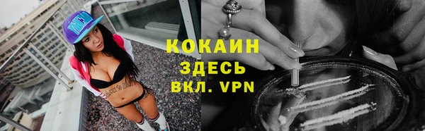 тгк Арсеньев