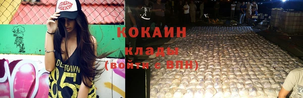 тгк Арсеньев