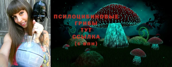 тгк Арсеньев