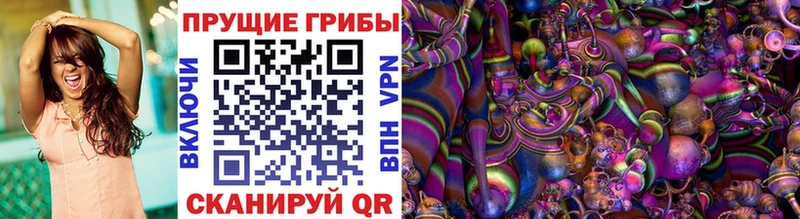 Галлюциногенные грибы мухоморы  даркнет сайт  Красный Холм 